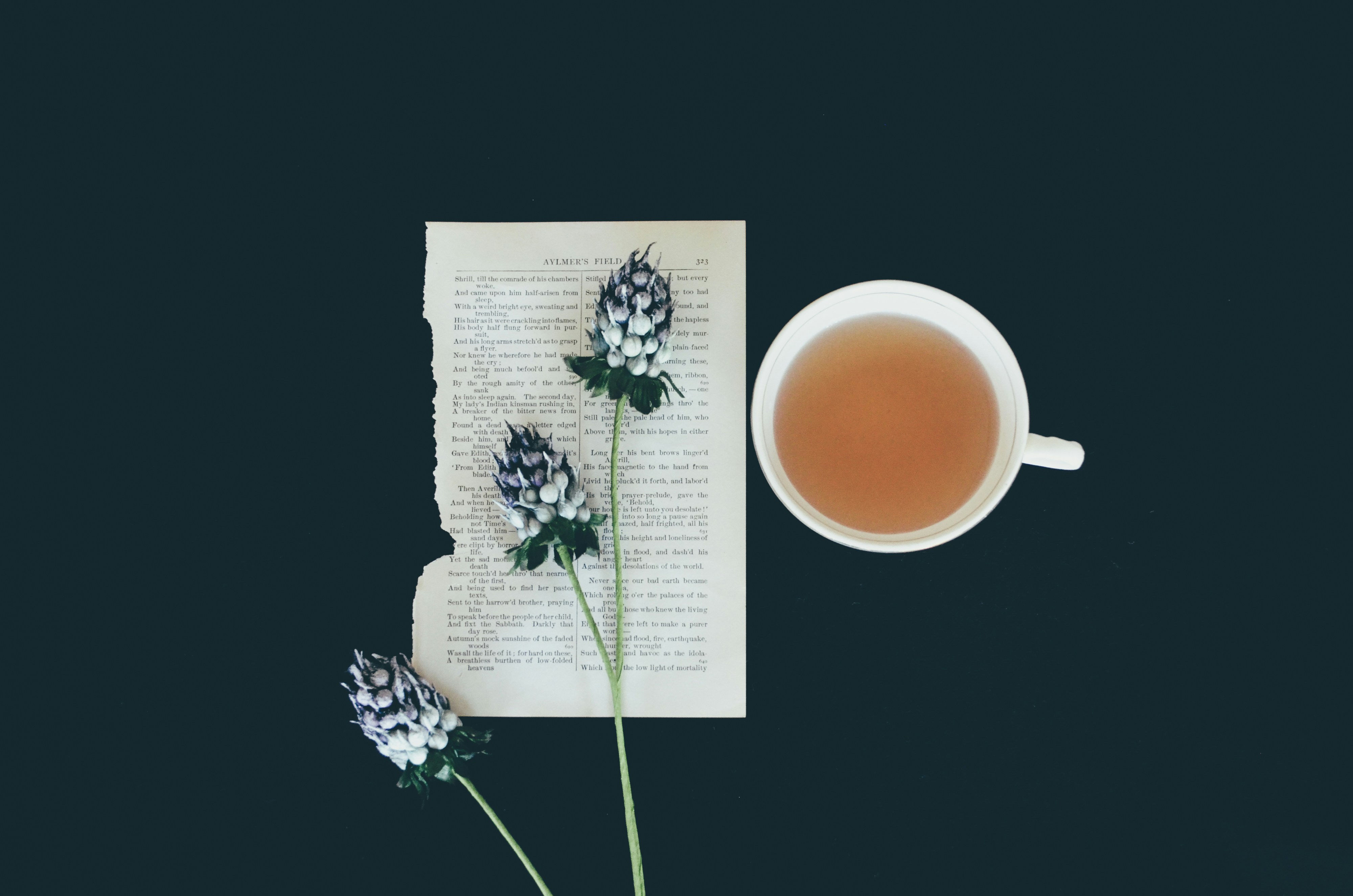 陇南茶园风光图