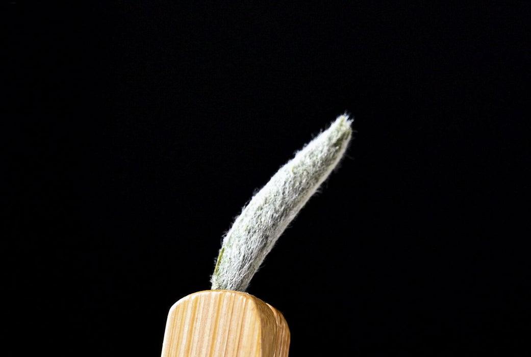 Fuding "Bai Hao Yin Zhen" Silver Needles White Tea Yunnan Sourcing Tea Shop